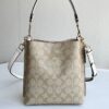 Coach Town Bucket Bag / Coach Mollie Bucket Bag