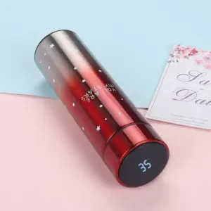 Stainless steel insulated vacuum flask